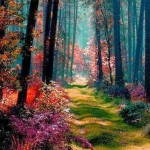 Meet your Posher, Fiona